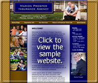 Sample Website